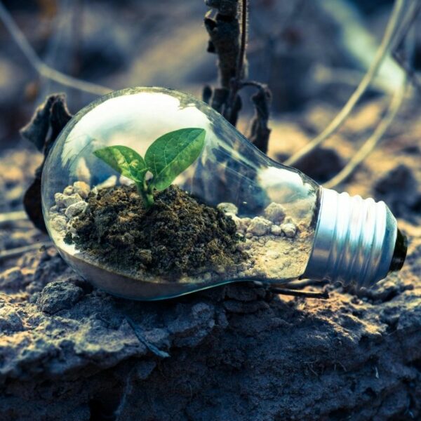 Sostenibilidad Ambiental